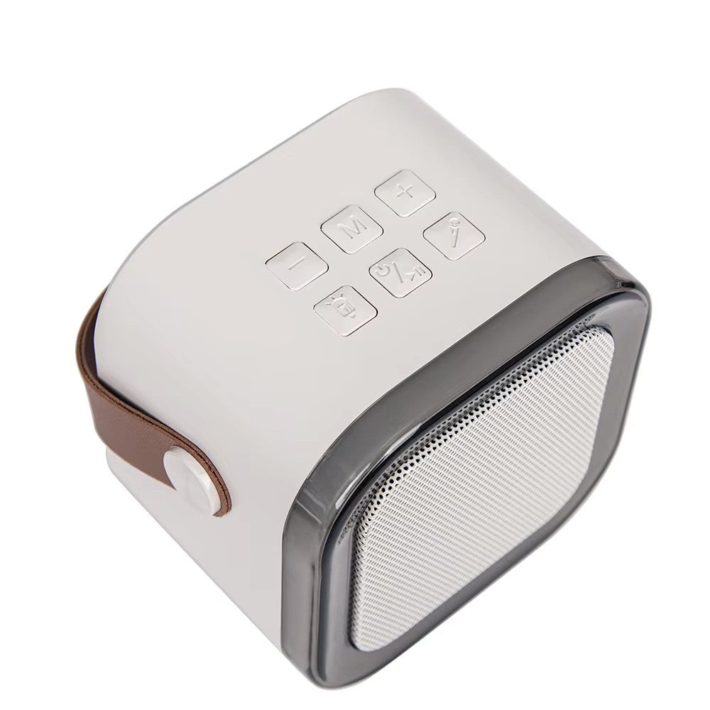 Set Boxa Karaoke cu 2 Microfoane Wireless, Bluetooth