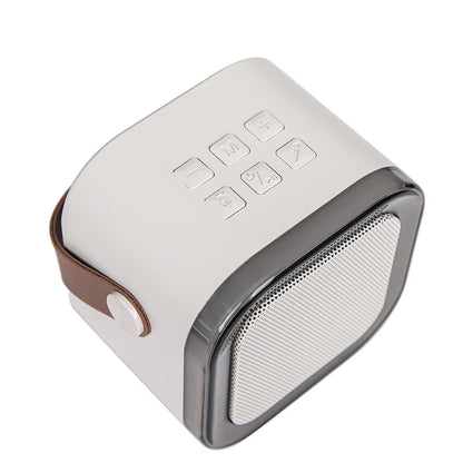 Set Boxa Karaoke cu 2 Microfoane Wireless, Bluetooth