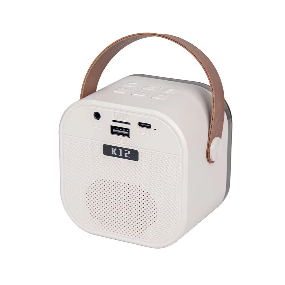 Set Boxa Karaoke cu 2 Microfoane Wireless, Bluetooth