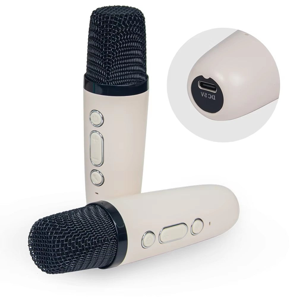 Set Boxa Karaoke cu 2 Microfoane Wireless, Bluetooth