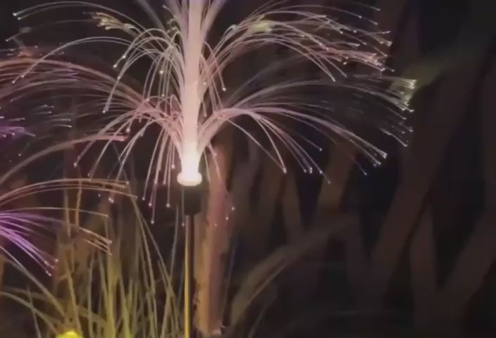 Încarcă clipul video: 